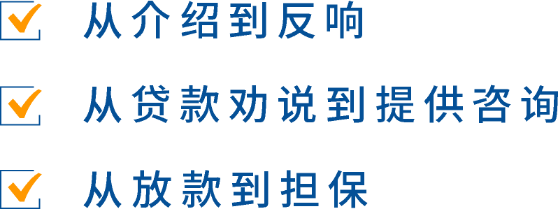 从介绍到反响/从介绍到反响/从放款到担保